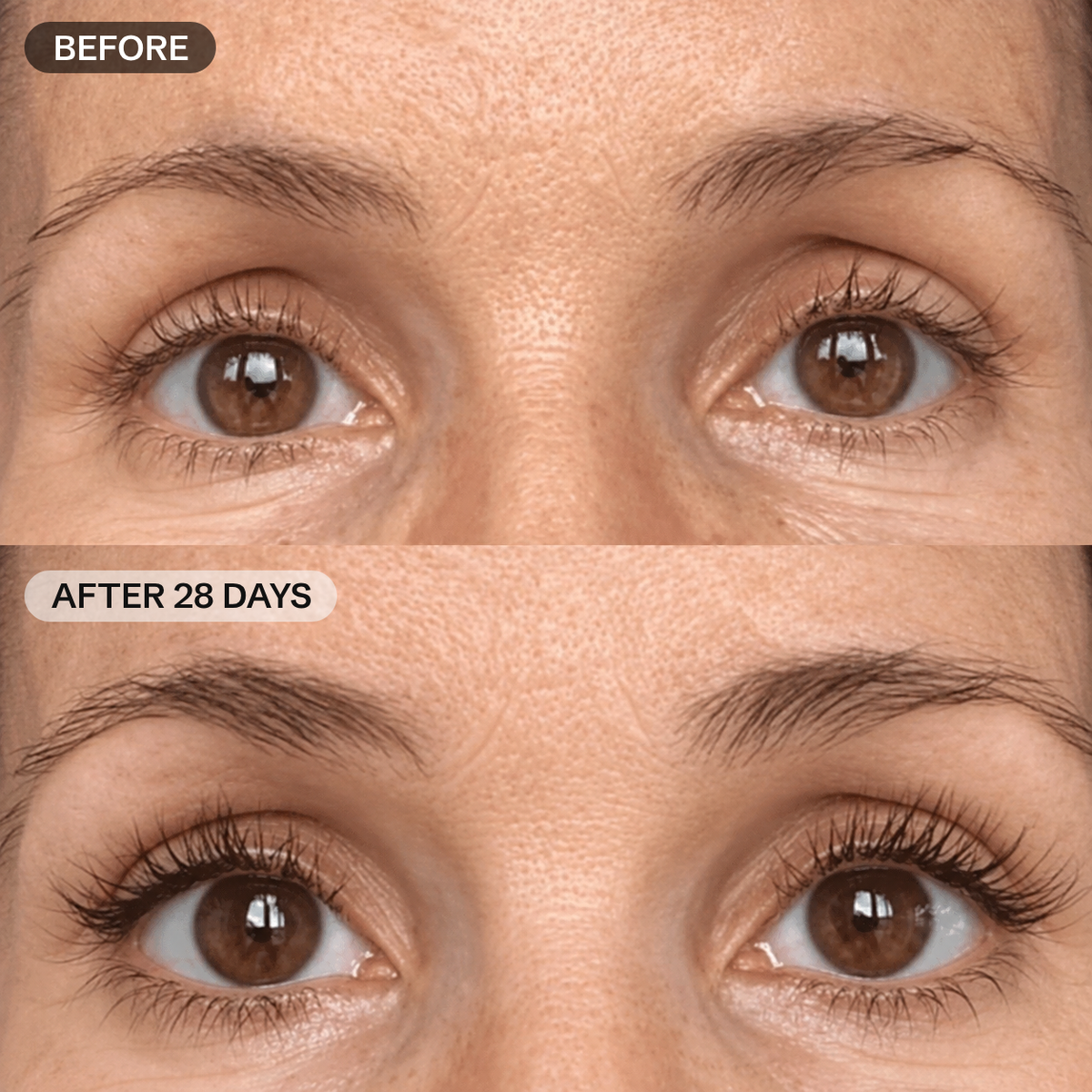Korean Peptide Eyelash Enhancing Serum