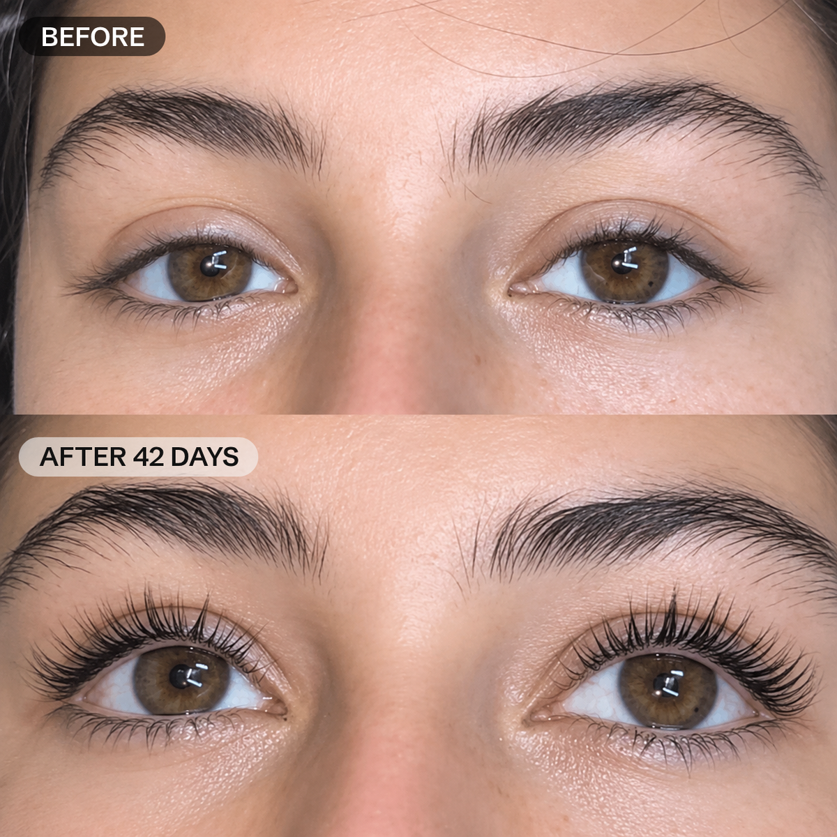 Korean Peptide Eyelash Enhancing Serum